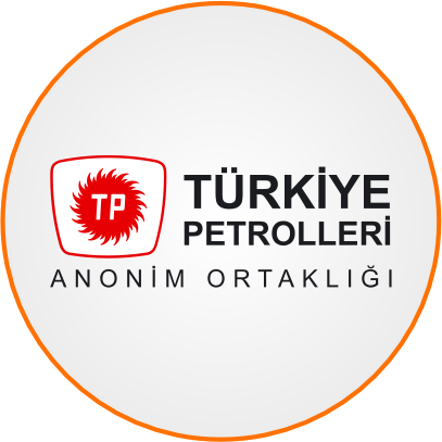 Partner 7